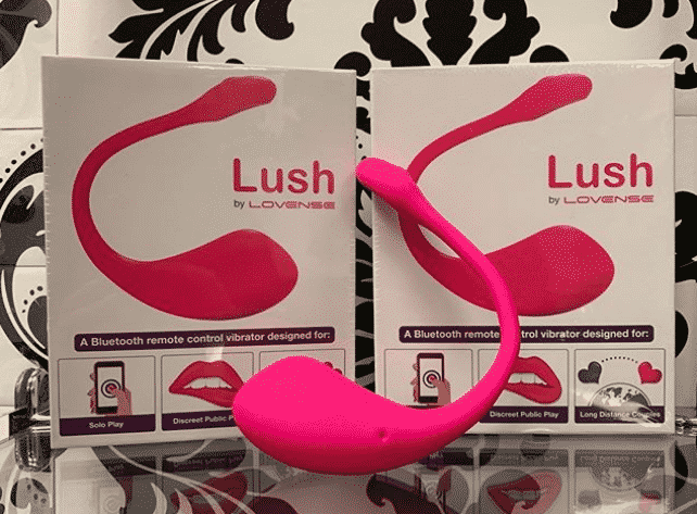 5 Best Small Vibrator 2019 Lelo WeVibe Reviews Sex Toy For